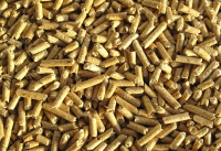 Impianto a biomassa